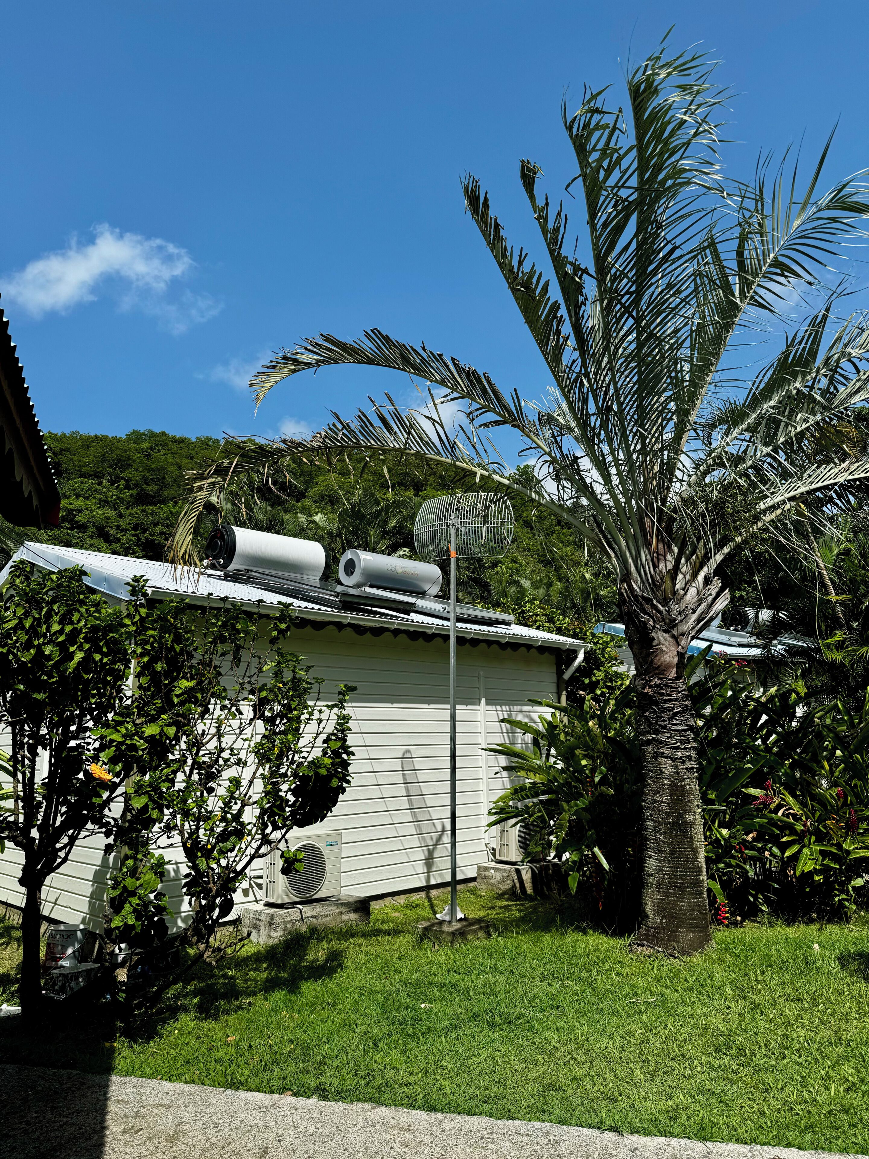 Una zona residencial con una casa blanca, una palmera y una jaula de metal para pájaros.