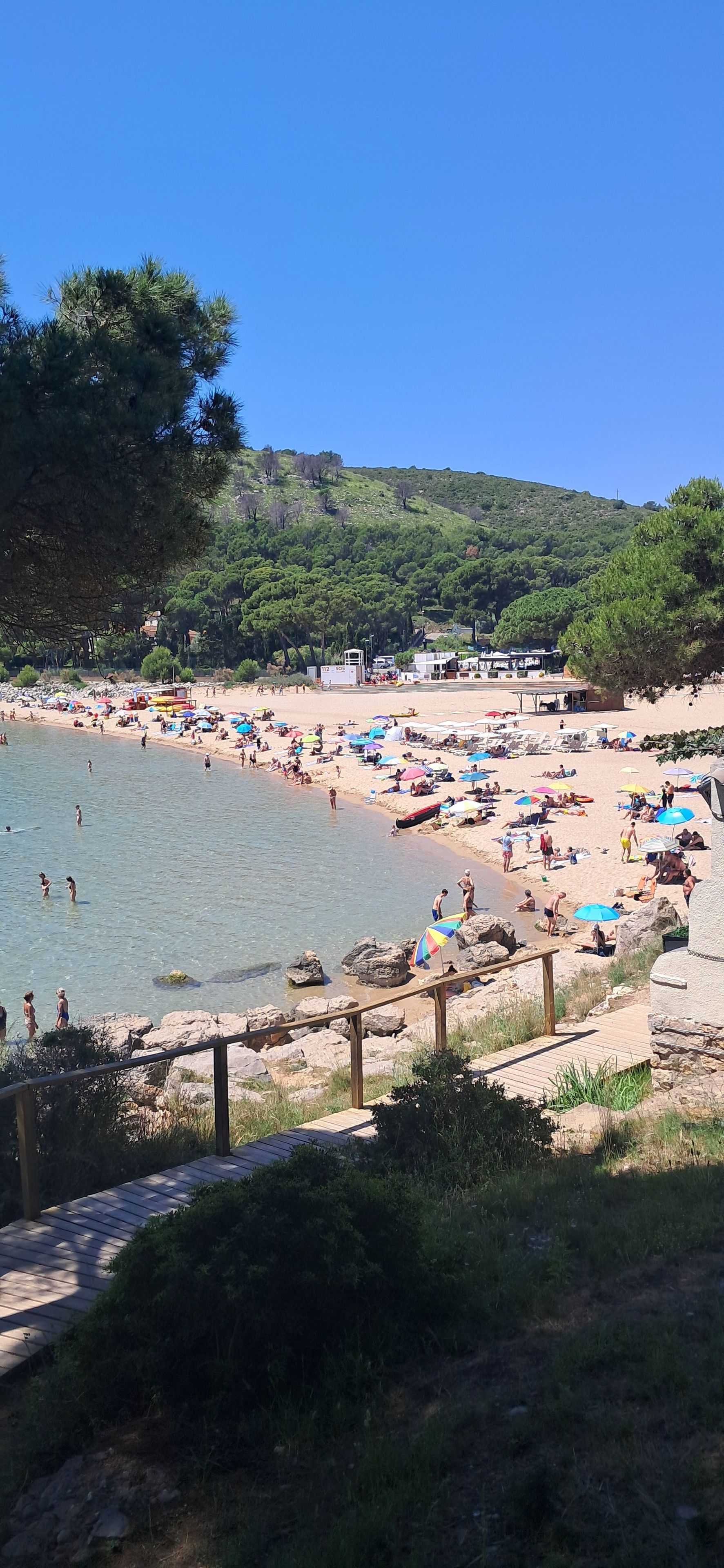 A beach with a wooden walkway leading to the water, surrounded by greenery and a clear sky.