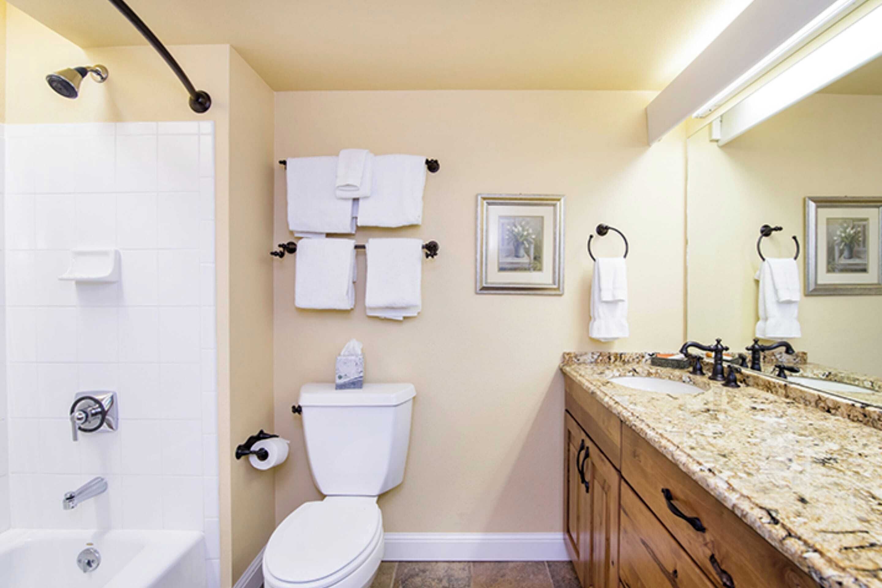 Un baño con bañera, inodoro, lavabo y tocador.