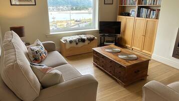 Smart TV, fireplace, DVD player, books