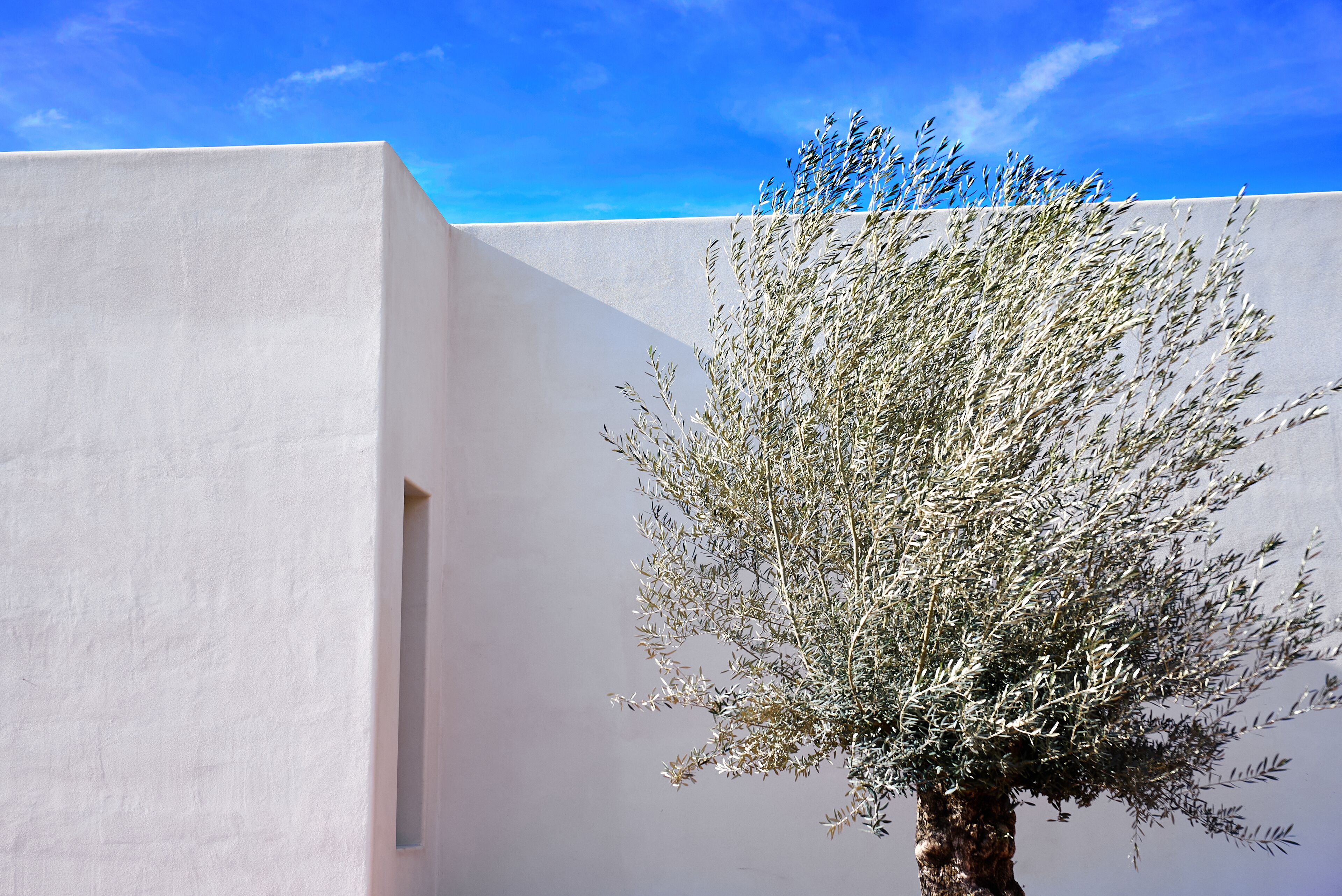 Foto - Hotel Boutique Mi Almazara