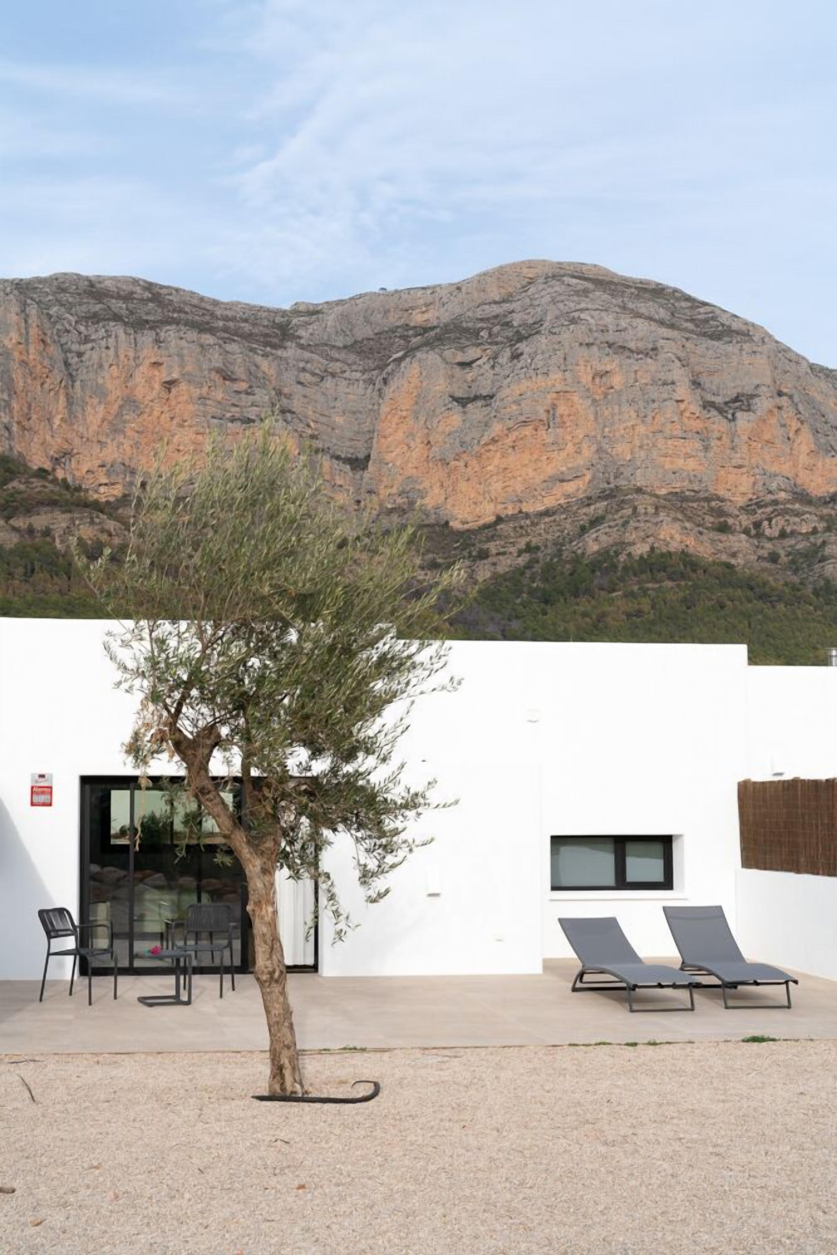 A modern building with a white exterior, a tree in the foreground, and a mountain in the background.