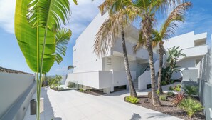 Un bâtiment moderne à l’extérieur épuré et blanc, doté d’une allée pavée et de plusieurs palmiers.