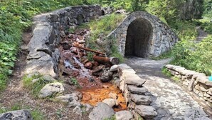 A stone bridge with a small stream flowing over it, surrounded by greenery.