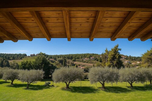Sani Olive Grove Gem - The Ultimate Sunny Getaway
