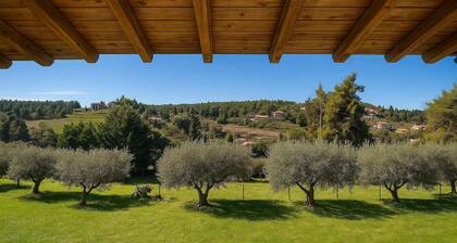 Sani Olive Grove Gem - The Ultimate Sunny Getaway