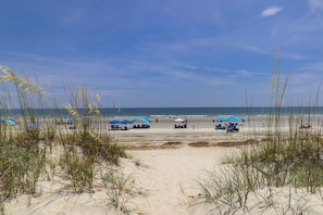 On the beach