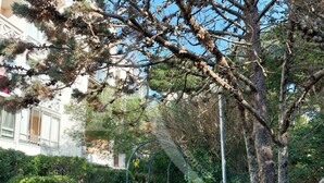 A pathway leading through a garden with a metal archway, surrounded by trees and shrubs. - T2, parking, 4 personnes, résidence avec piscine (Sète)