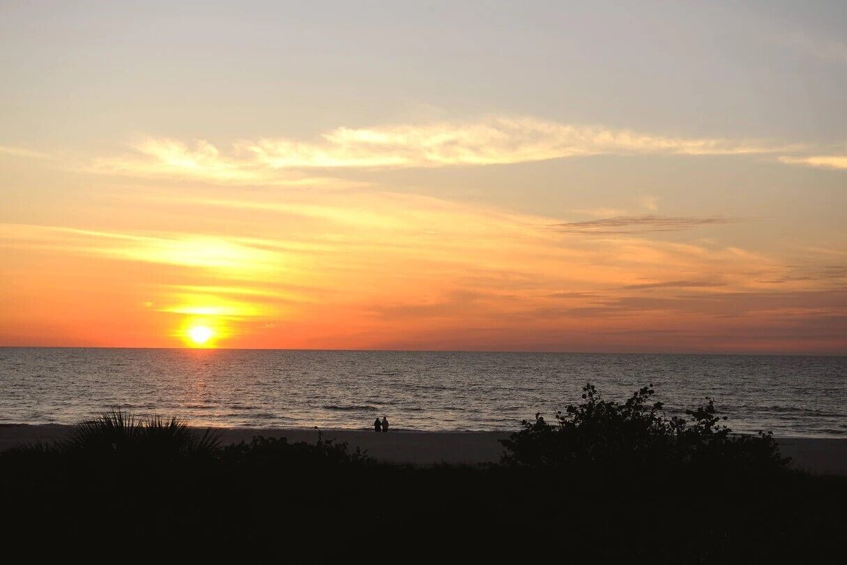 A sunset over a beach with silhouettes of people and vegetation in the foreground.