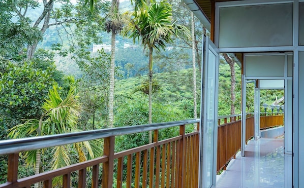 Terrain de lâhĂ©bergement