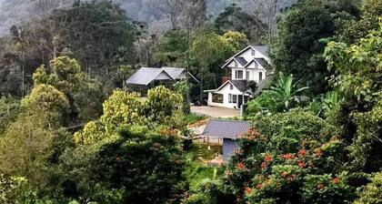 Misty Bush Munnar - Deluxe Double Room