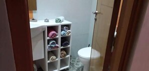 Sèche-cheveux, serviettes fournies, papier toilette