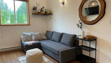 Smart TV, chimenea y libros