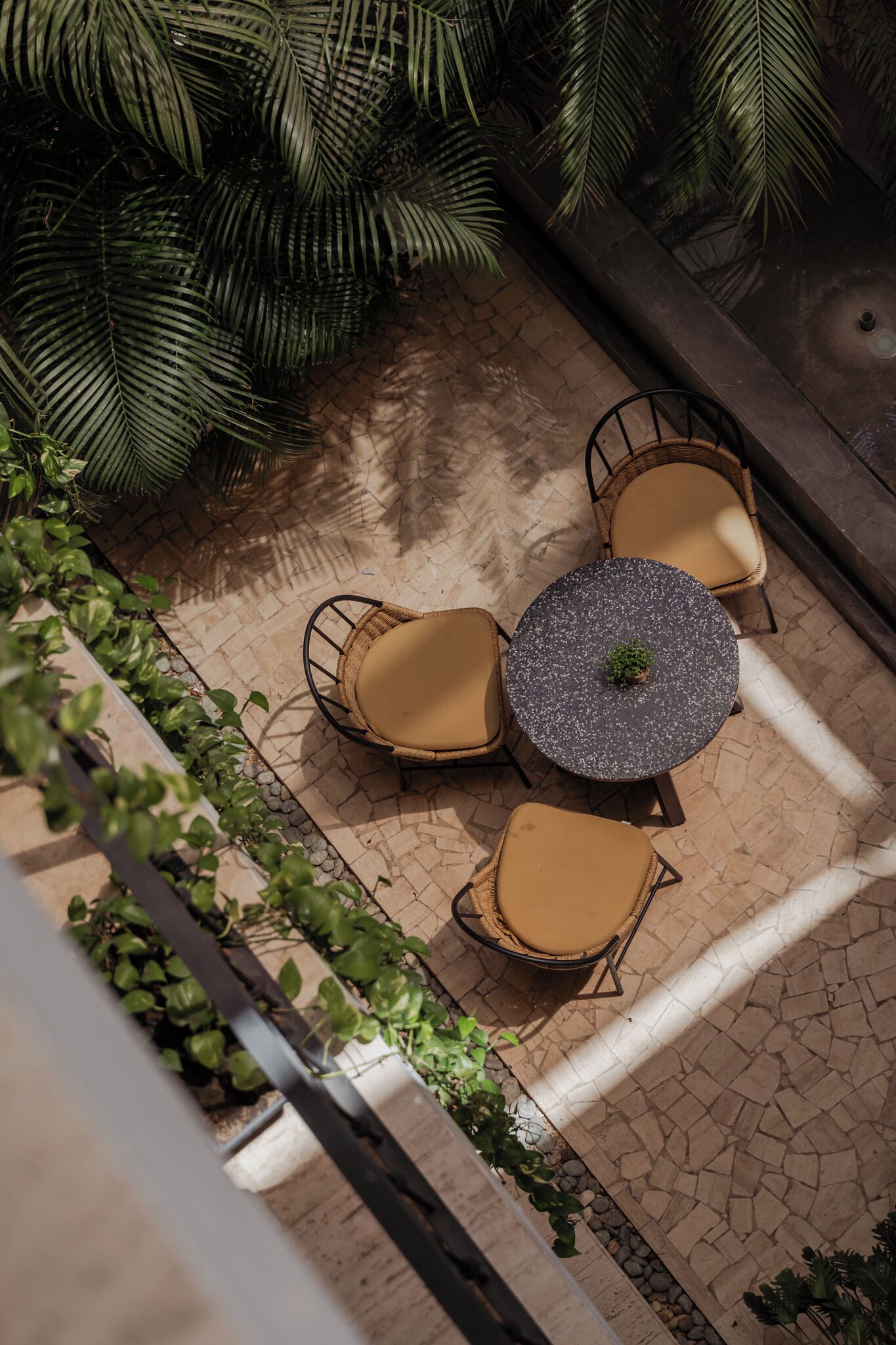 Eine Terrasse im Freien mit einem runden Tisch und vier Korbstühlen, umgeben von üppiger Vegetation und einem gemusterten Steinboden.