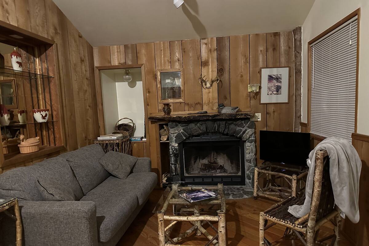 A cozy living room with a stone fireplace, wooden walls, a grey sofa, wicker chairs, and a television.