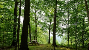Un bosque con una mesa de picnic.