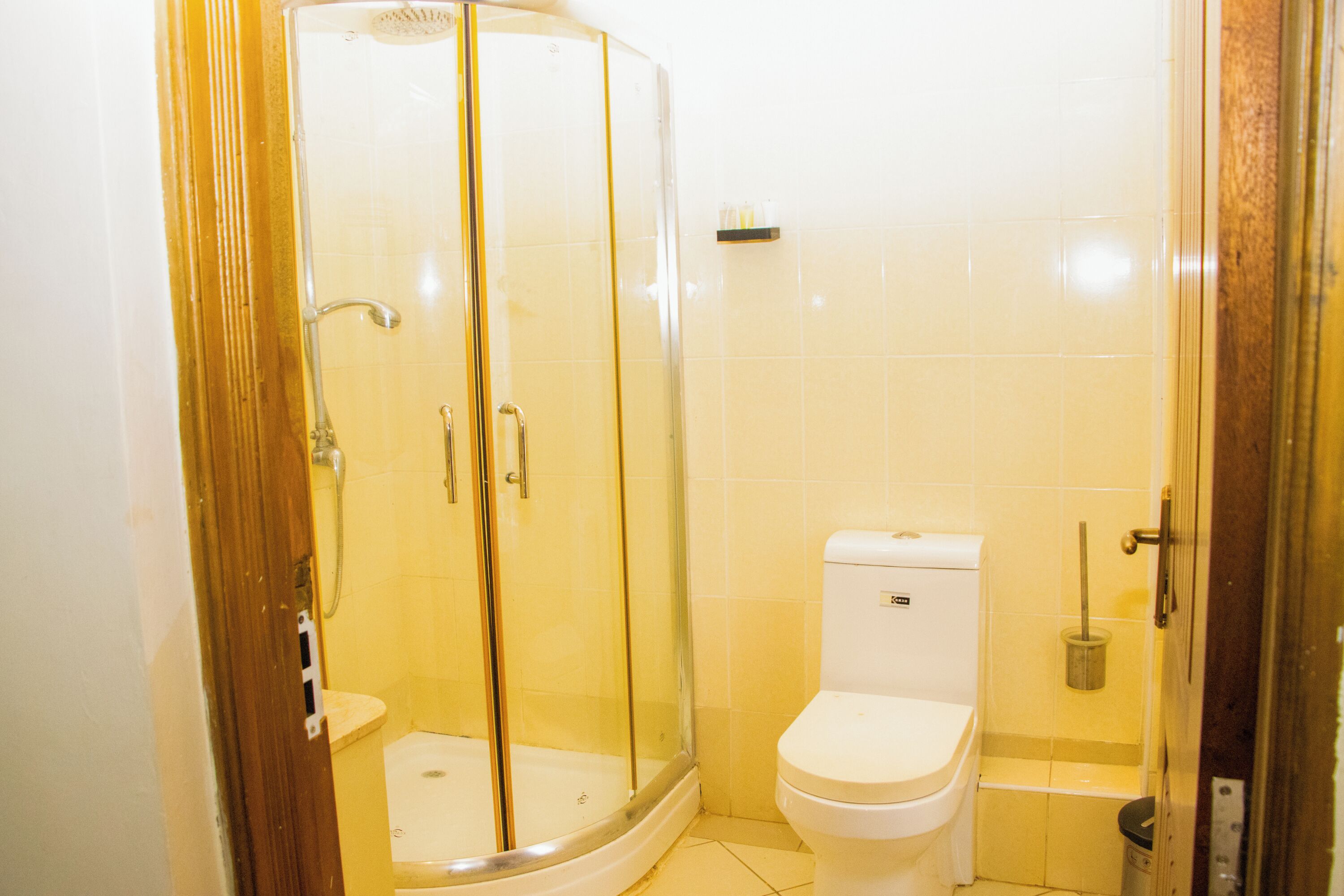 A bathroom with a glass-enclosed shower, a toilet, and a small shelf with toiletries.