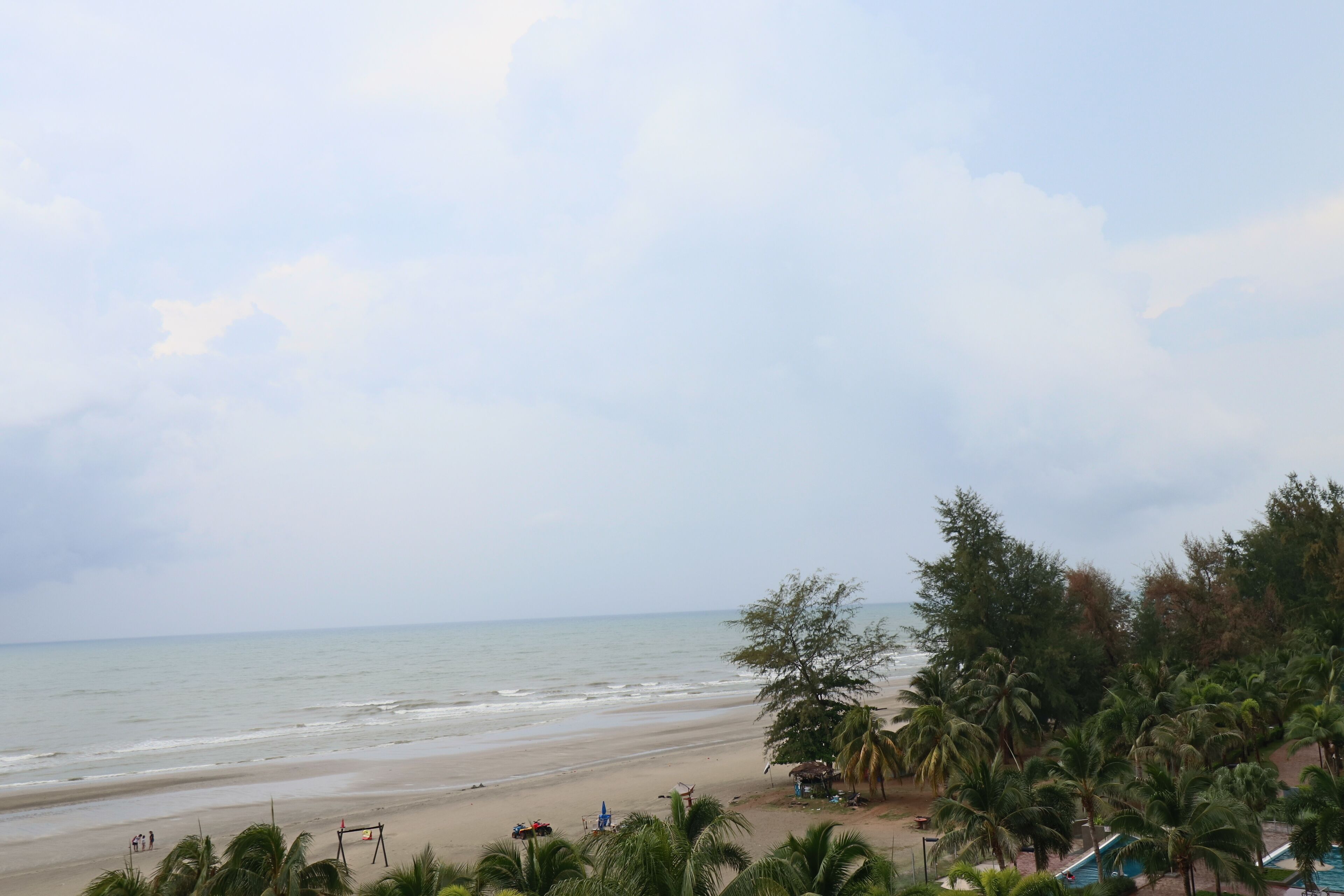 A beach with a sandy shore, palm trees, and a clear view of the ocean.