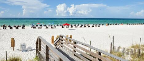 Playa en los alrededores