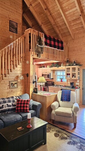 Smart-TV, peis, DVD-spiller og bøker