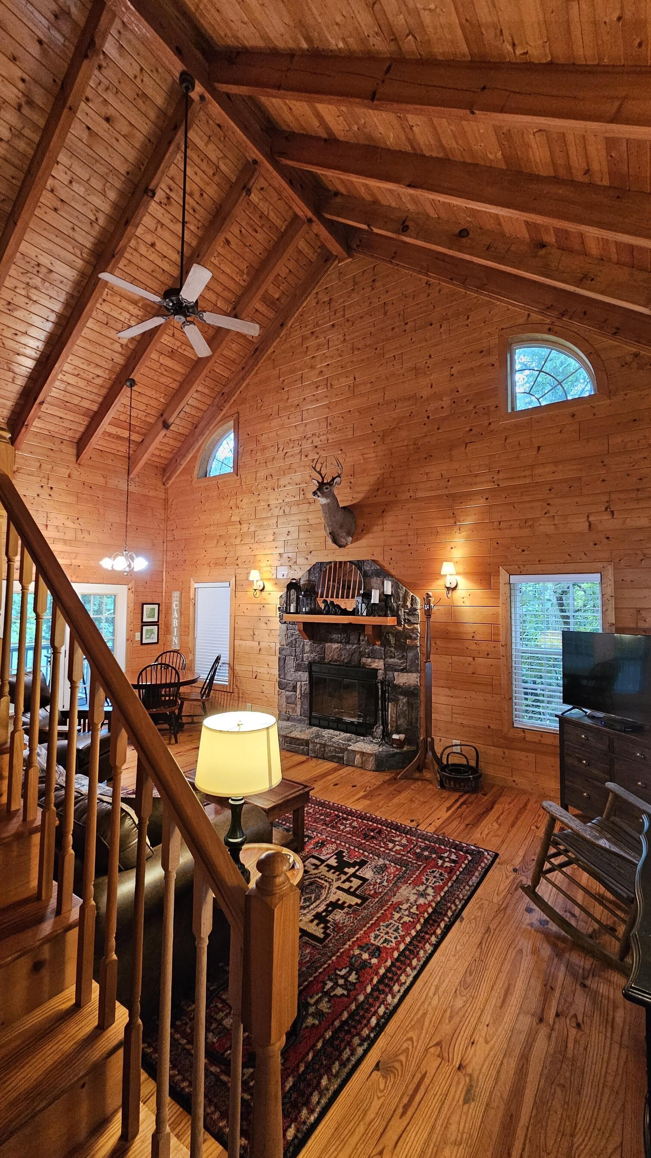 Fernseher, Kamin, Bücher