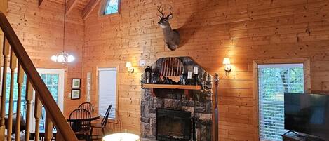 Fernseher, Kamin, Bücher