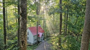 Exterior - Dogwood Nestled atop the pristine mountain canopy (Blairsville)