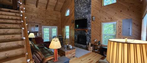 TV connectée, cheminée, livres