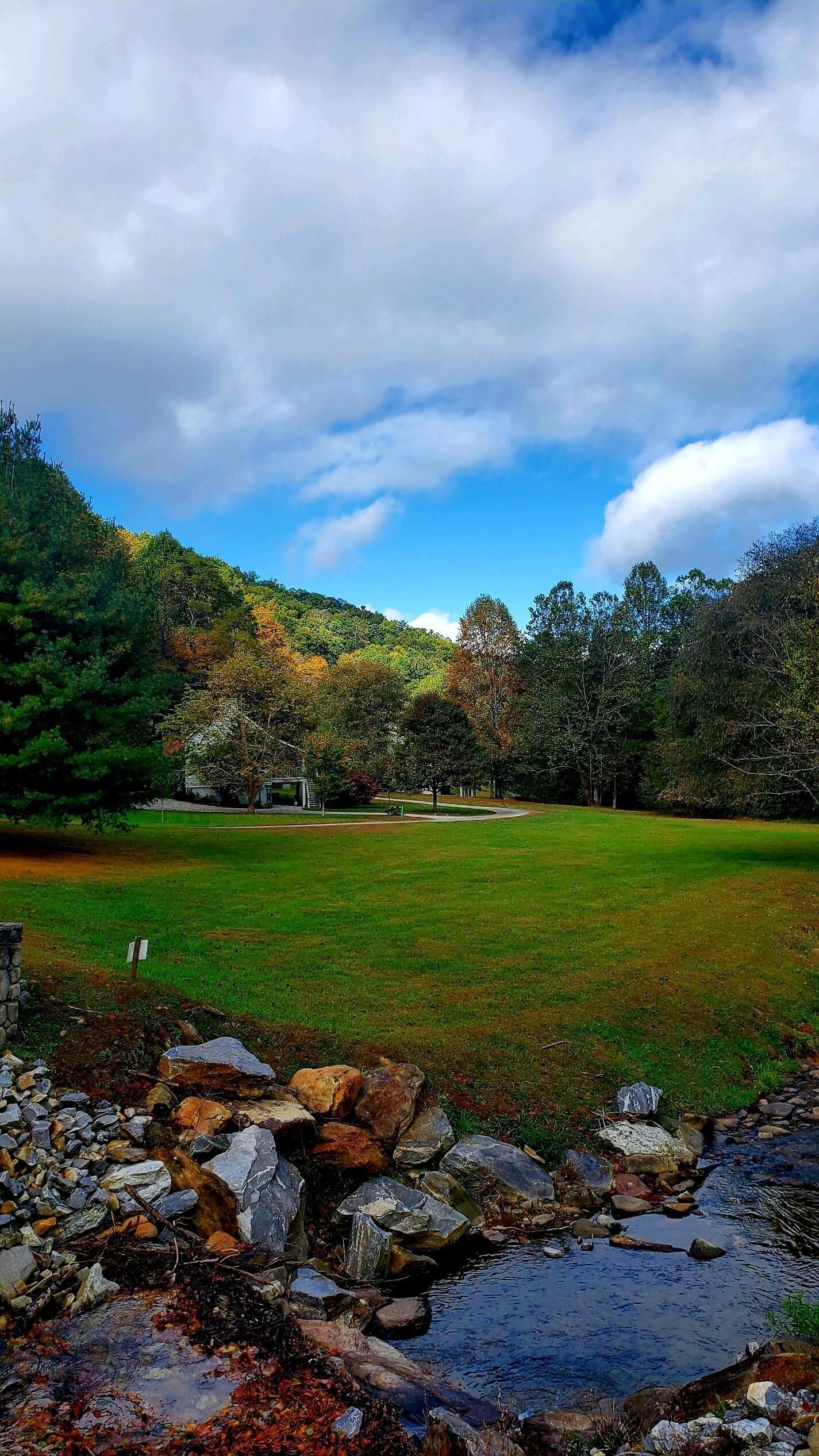 A park with a grassy field, a small stream, and trees in the background.