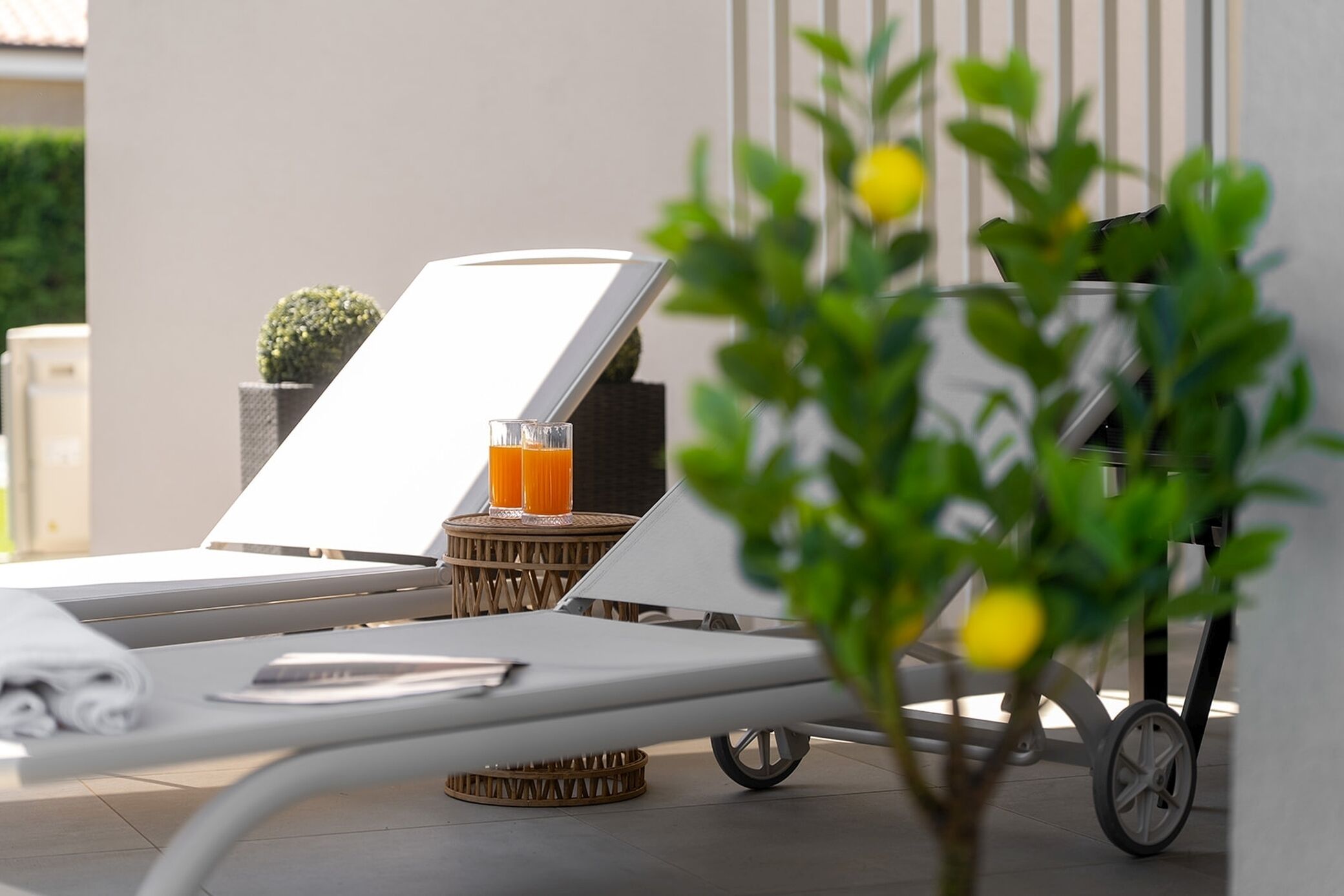 A sunlit outdoor lounge area with a white chair, a glass of orange juice, and a small potted plant.