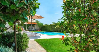 Villa Demetra (Istria - Tinjan)