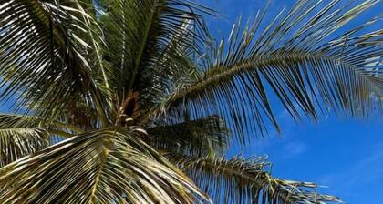 Gßtes "Soleil des étoiles", piscine, jardin fleuri