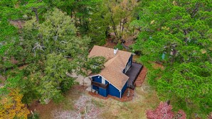 Une maison à deux étages entourée d’une forêt dense.
