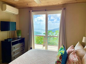 4 bedrooms, desk, iron/ironing board, WiFi - Coral Sky Villa~4 BR 3.5 BA, private pool, ACs, generator, spectacular views (St John)