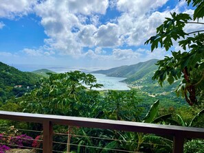 Property grounds - Coral Sky Villa~4 BR 3.5 BA, private pool, ACs, generator, spectacular views (St John)