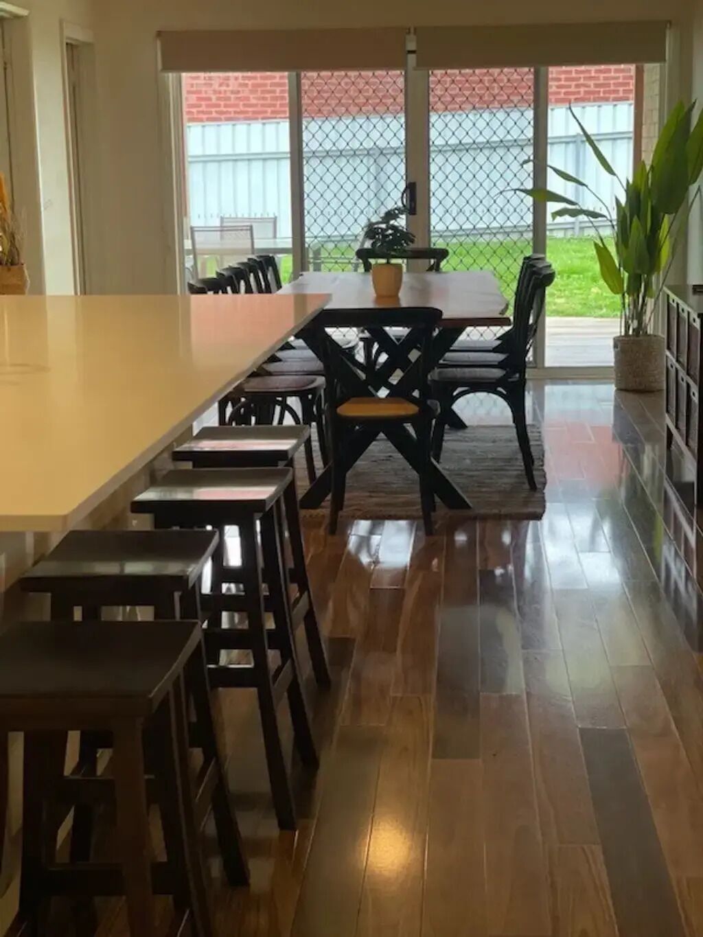 A spacious kitchen with a long counter, multiple stools, and a large potted plant.