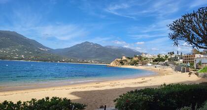 T3 classé 3 etoiles
Residence typique entierement rĂ©novĂ©e au cĆur de Propriano