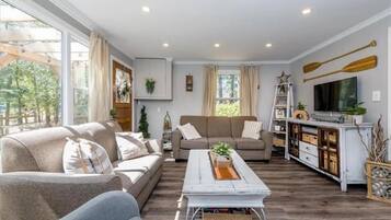 TV connectée, cheminée