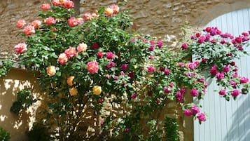 Details aan de buitenkant