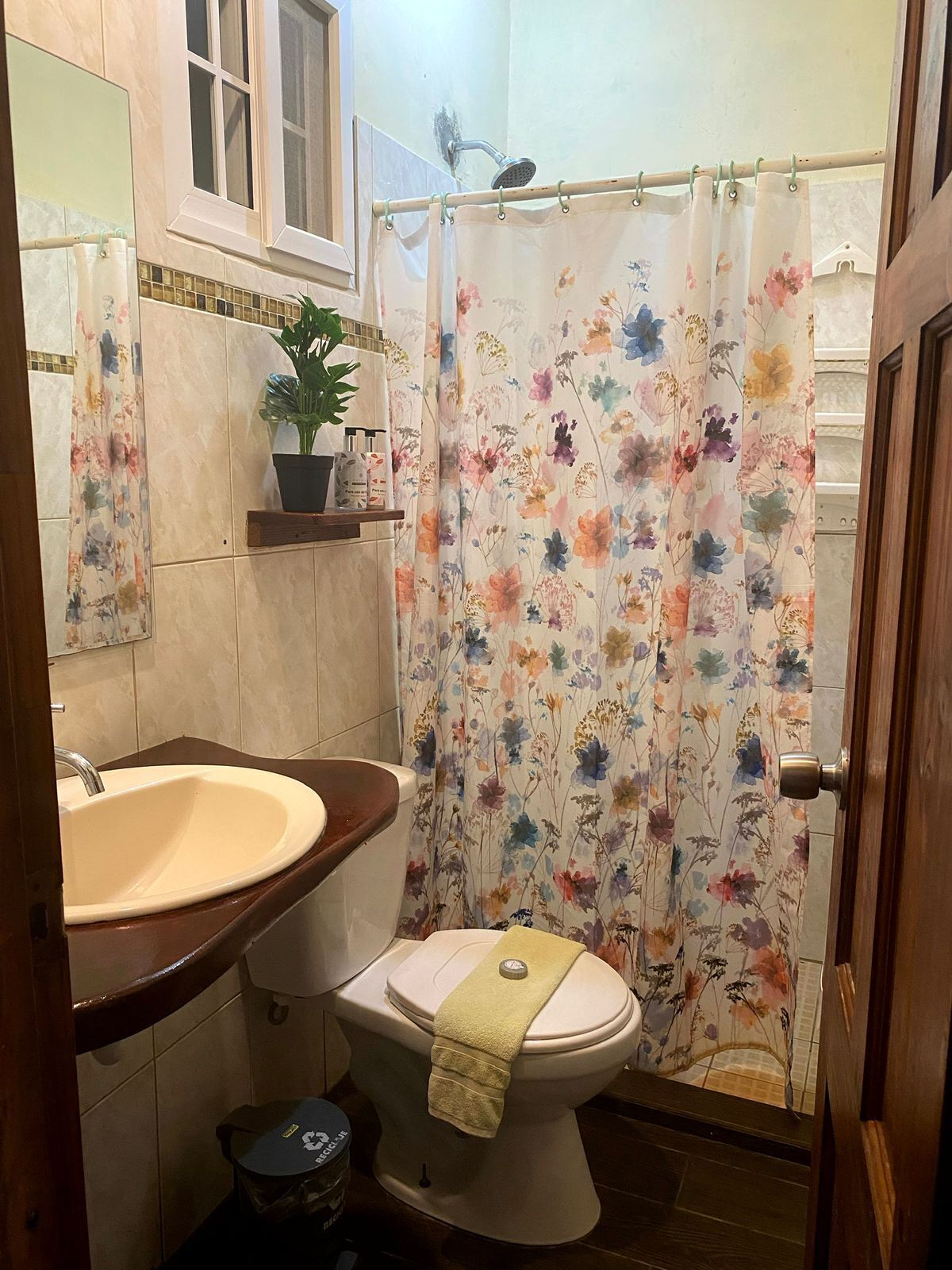Un baño con lavamanos, inodoro, cortina de ducha y una planta en maceta.
