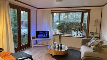 Smart TV, chimenea y libros