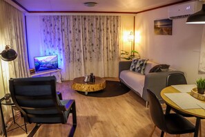 Smart TV, fireplace, books