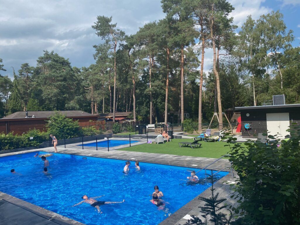 A swimming pool surrounded by tall trees and a grassy area with lounge chairs.