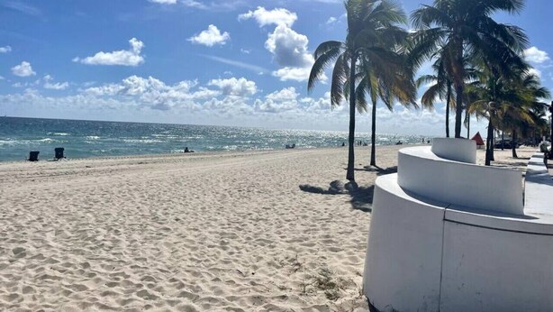 A beach with sand, palm trees, and a clear sky.