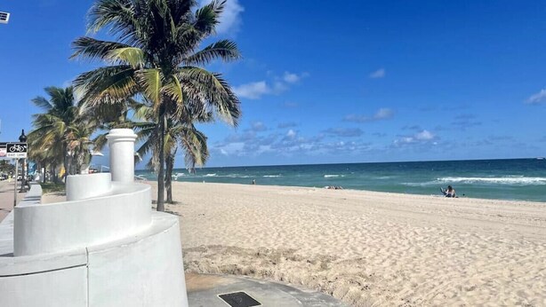 Une plage de sable bordée de palmiers, sous un ciel bleu et dégagé.