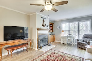 TV, fireplace, books