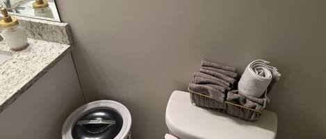 Haartrockner, Handtücher, Seife, Shampoo