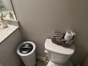 Secadora de cabello, toallas, jabón, shampoo 