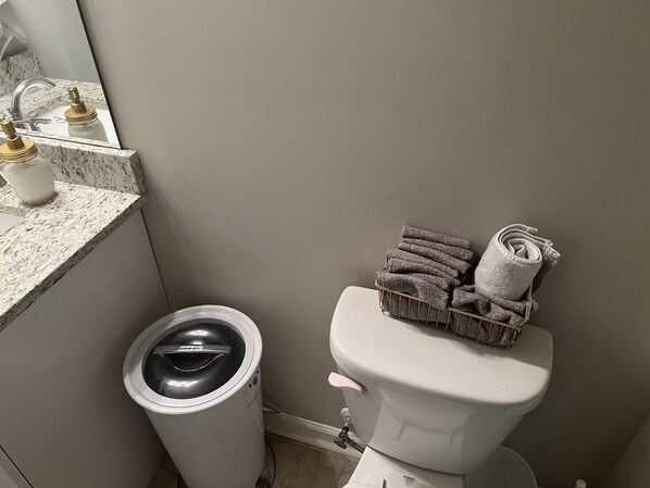 Secadora de cabello, toallas, jabón, shampoo 