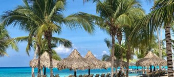 Bayahibe Cadaquez Caribe Beachfront Apt next to Dreams & Catalonia Resorts 